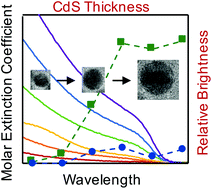 Graphical abstract: Shell thickness effects on quantum dot brightness and energy transfer