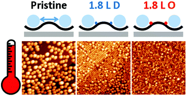 Graphical abstract: Preventing sintering of nanoclusters on graphene by radical adsorption