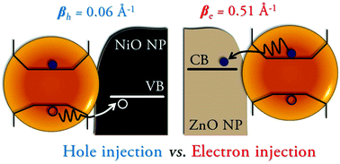 Graphical abstract: Drastic difference between hole and electron injection through the gradient shell of CdxSeyZn1−xS1−y quantum dots