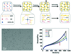 Graphical abstract: A self-healable and tough nanocomposite hydrogel crosslinked by novel ultrasmall aluminum hydroxide nanoparticles