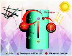 Graphical abstract: Self-assembly of metal/semiconductor heterostructures via ligand engineering: unravelling the synergistic dual roles of metal nanocrystals toward plasmonic photoredox catalysis