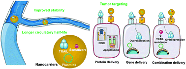 Graphical abstract: Nanocarriers for TRAIL delivery: driving TRAIL back on track for cancer therapy