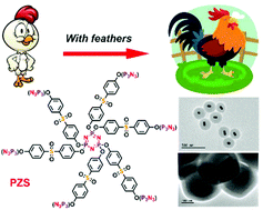 Graphical abstract: A general route to coat poly(cyclotriphosphazene-co-4,4′-sulfonyldiphenol) on various substrates and the derived N, P, S-doped hollow carbon shells for catalysis