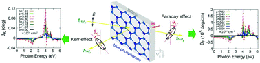 Graphical abstract: Large magneto-optical effects in hole-doped blue phosphorene and gray arsenene
