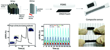 Graphical abstract: Highly stretchable, sensitive strain sensors with a wide linear sensing region based on compressed anisotropic graphene foam/polymer nanocomposites