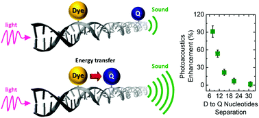 Graphical abstract: Distance dependent photoacoustics revealed through DNA nanostructures