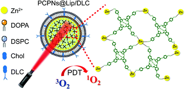Graphical abstract: Phthalocyanine-based coordination polymer nanoparticles for enhanced photodynamic therapy