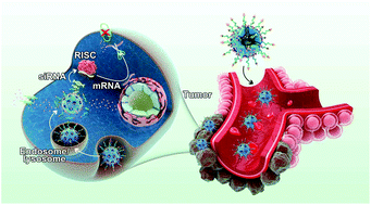 Graphical abstract: A drug-self-gated and tumor microenvironment-responsive mesoporous silica vehicle: “four-in-one” versatile nanomedicine for targeted multidrug-resistant cancer therapy