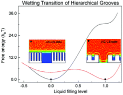 Graphical abstract: Contrasting water adhesion strengths of hydrophobic surfaces engraved with hierarchical grooves: lotus leaf and rose petal effects