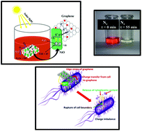 Graphical abstract: NiO-nanoflakes grafted graphene: an excellent photocatalyst and a novel nanomaterial for achieving complete pathogen control