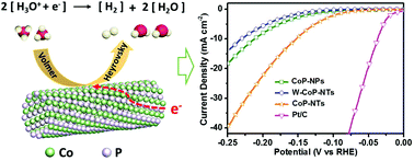 Graphical abstract: Engineering a nanotubular mesoporous cobalt phosphide electrocatalyst by the Kirkendall effect towards highly efficient hydrogen evolution reactions