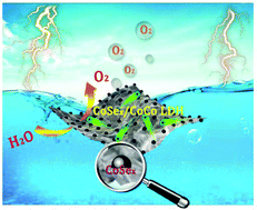 Graphical abstract: CoSex nanocrystalline-dotted CoCo layered double hydroxide nanosheets: a synergetic engineering process for enhanced electrocatalytic water oxidation