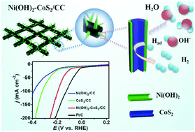 Graphical abstract: A Ni(OH)2–CoS2 hybrid nanowire array: a superior non-noble-metal catalyst toward the hydrogen evolution reaction in alkaline media
