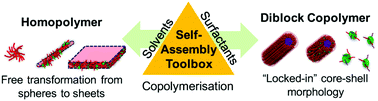 Graphical abstract: A self-assembly toolbox for thiophene-based conjugated polyelectrolytes: surfactants, solvent and copolymerisation