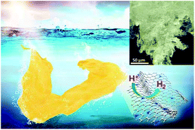 Graphical abstract: Hierarchically interconnected nitrogen-doped carbon nanosheets for an efficient hydrogen evolution reaction