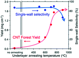 Graphical abstract: The double-edged effects of annealing MgO underlayers on the efficient synthesis of single-wall carbon nanotube forests