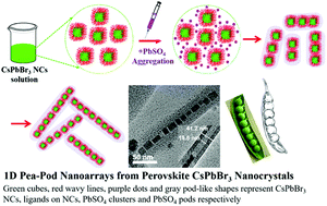 Graphical abstract: Templated self-assembly of one-dimensional CsPbX3 perovskite nanocrystal superlattices