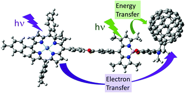 Graphical abstract: Controlling electron and energy transfer paths by selective excitation in a zinc porphyrin–BODIPY–C60 multi-modular triad