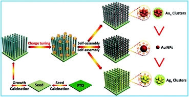 Graphical abstract: In situ etching-induced self-assembly of metal cluster decorated one-dimensional semiconductors for solar-powered water splitting: unraveling cooperative synergy by photoelectrochemical investigations