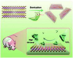 Graphical abstract: Silk fibroin-assisted exfoliation and functionalization of transition metal dichalcogenide nanosheets for antibacterial wound dressings