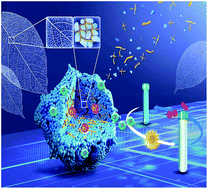 Graphical abstract: Self-assembled nano-leaf/vein bionic structure of TiO2/MoS2 composites for photoelectric sensors