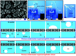 Graphical abstract: Femtosecond laser induced underwater superaerophilic and superaerophobic PDMS sheets with through microholes for selective passage of air bubbles and further collection of underwater gas