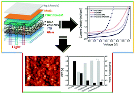 Graphical abstract: Coating ZnO nanoparticle films with DNA nanolayers for enhancing the electron extracting properties and performance of polymer solar cells