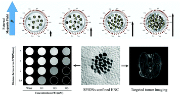 Graphical abstract: Nano-confinement-driven enhanced magnetic relaxivity of SPIONs for targeted tumor bioimaging