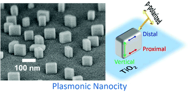 Graphical abstract: Photoassisted bottom-up construction of plasmonic nanocity