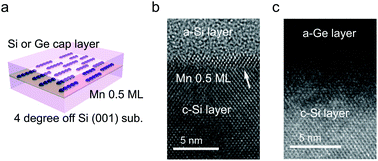Graphical abstract: Atomic layer doping of Mn magnetic impurities from surface chains at a Ge/Si hetero-interface