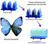 Graphical abstract: Coupling effects in 3D plasmonic structures templated by Morpho butterfly wings