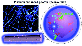 Graphical abstract: Photon upconversion in organic nanoparticles and subsequent amplification by plasmonic silver nanowires