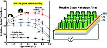 Graphical abstract: Fabrication of an artificial nanosucker device with a large area nanotube array of metallic glass