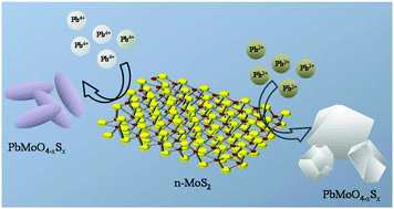 Graphical abstract: Rapid reaction of MoS2 nanosheets with Pb2+ and Pb4+ ions in solution