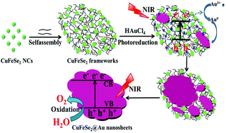 Graphical abstract: Constructing two-dimensional CuFeSe2@Au heterostructured nanosheets with an amorphous core and a crystalline shell for enhanced near-infrared light water oxidation