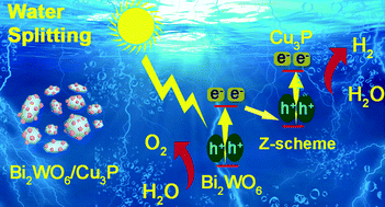 Graphical abstract: Mediator- and co-catalyst-free direct Z-scheme composites of Bi2WO6–Cu3P for solar-water splitting