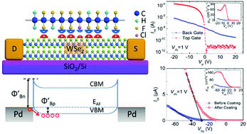 Graphical abstract: A ferroelectric relaxor polymer-enhanced p-type WSe2 transistor