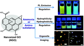 Graphical abstract: A versatile platform for the highly efficient preparation of graphene quantum dots: photoluminescence emission and hydrophilicity–hydrophobicity regulation and organelle imaging
