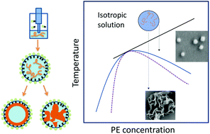 Graphical abstract: Polyethylene nano crystalsomes formed at a curved liquid/liquid interface