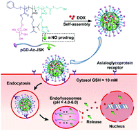 Graphical abstract: NO prodrug-conjugated, self-assembled, pH-responsive and galactose receptor targeted nanoparticles for co-delivery of nitric oxide and doxorubicin