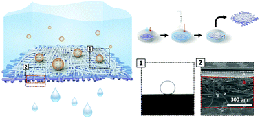 Graphical abstract: An underwater superoleophobic nanofibrous cellulosic membrane for oil/water separation with high separation flux and high chemical stability