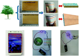 Graphical abstract: Anisotropic flexible transparent films from remaining wood microstructures for screen protection and AgNW conductive substrate