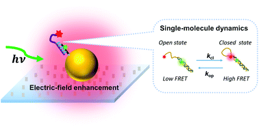 Graphical abstract: Combining gold nanoparticle antennas with single-molecule fluorescence resonance energy transfer (smFRET) to study DNA hairpin dynamics