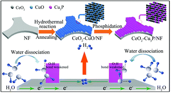 Graphical abstract: Interface engineering of a CeO2–Cu3P nanoarray for efficient alkaline hydrogen evolution