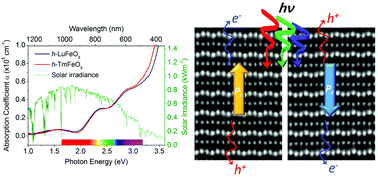 Graphical abstract: Switchable ferroelectric photovoltaic effects in epitaxial h-RFeO3 thin films