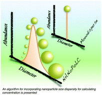 Graphical abstract: NANoPoLC algorithm for correcting nanoparticle concentration by sample polydispersity