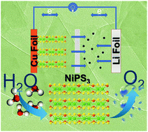 Graphical abstract: Few-layer NiPS3 nanosheets as bifunctional materials for Li-ion storage and oxygen evolution reaction