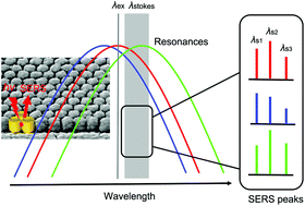 Graphical abstract: Detailed correlations between SERS enhancement and plasmon resonances in subwavelength closely spaced Au nanorod arrays