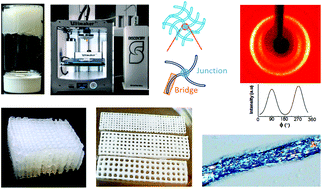 Graphical abstract: 3D printed scaffolds with gradient porosity based on a cellulose nanocrystal hydrogel