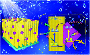Graphical abstract: High-efficiency SrTiO3/TiO2 hetero-photoanode for visible-light water splitting by charge transport design and optical absorption management